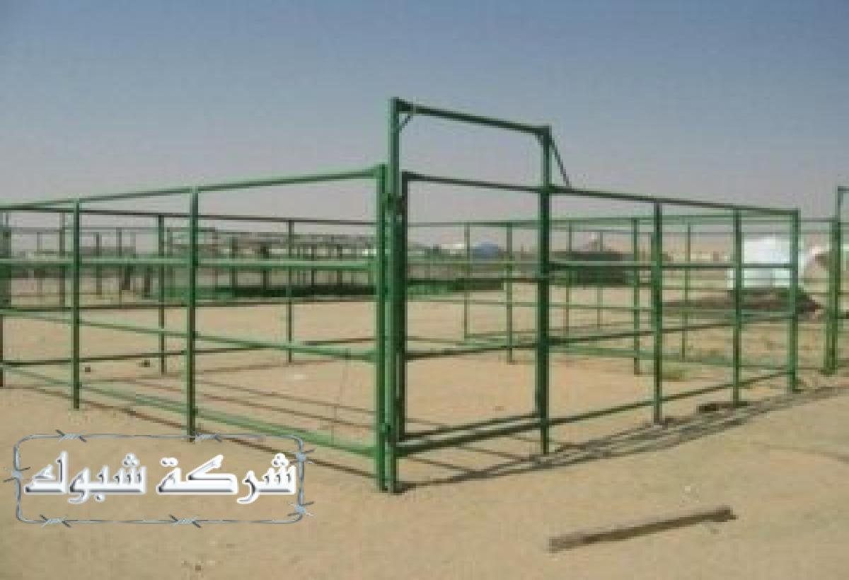 توفر شبوك الإبل حماية فعالة ضد الحيوانات البرية والحفاظ على البيئة الآمنة.
