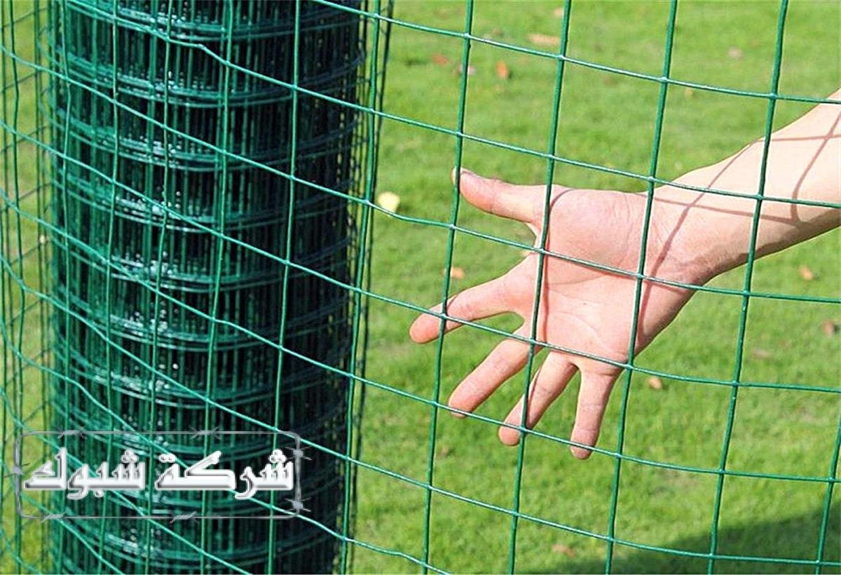 شبك مجلفن بالبلاستيك الأخضر يعزز من الأمان ويعزل الممتلكات عن المخاطر.