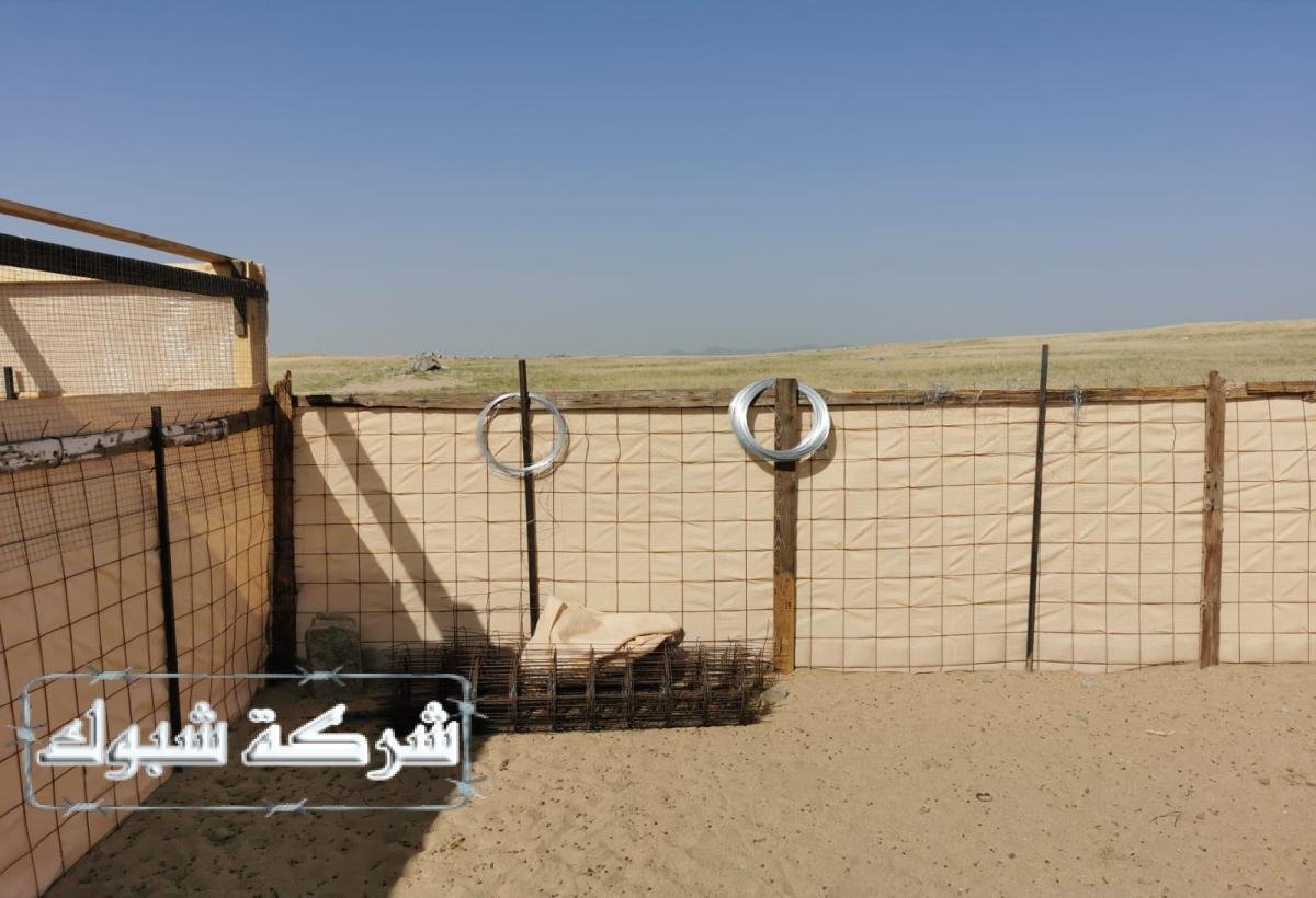 شبوك اغنام