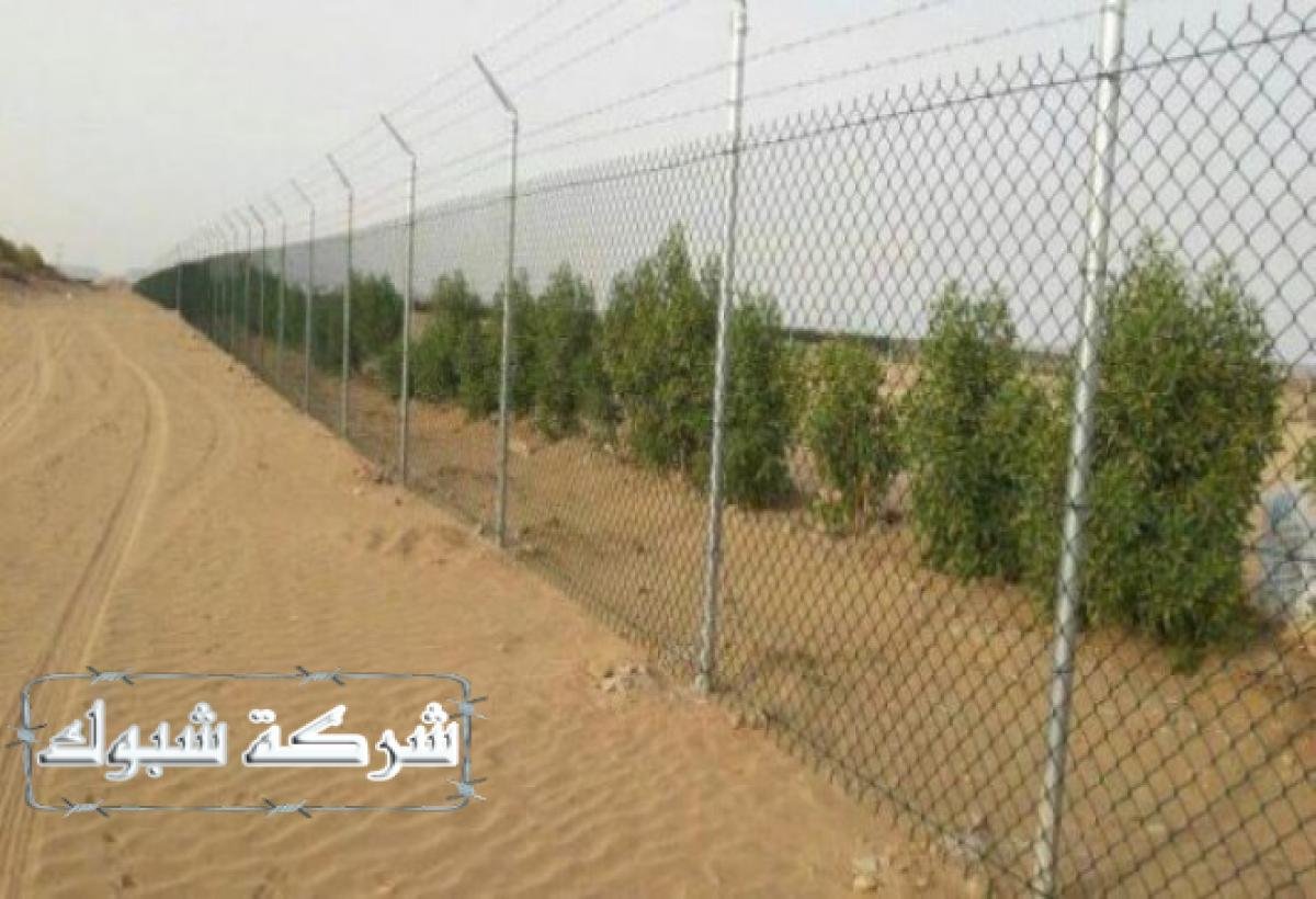 شبوك توفر حلاً مناسبًا لحماية الأراضي الزراعية وتنظيم الحركة داخلها.