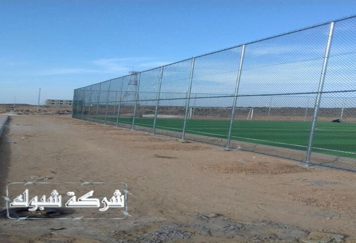 شبوك حكومية